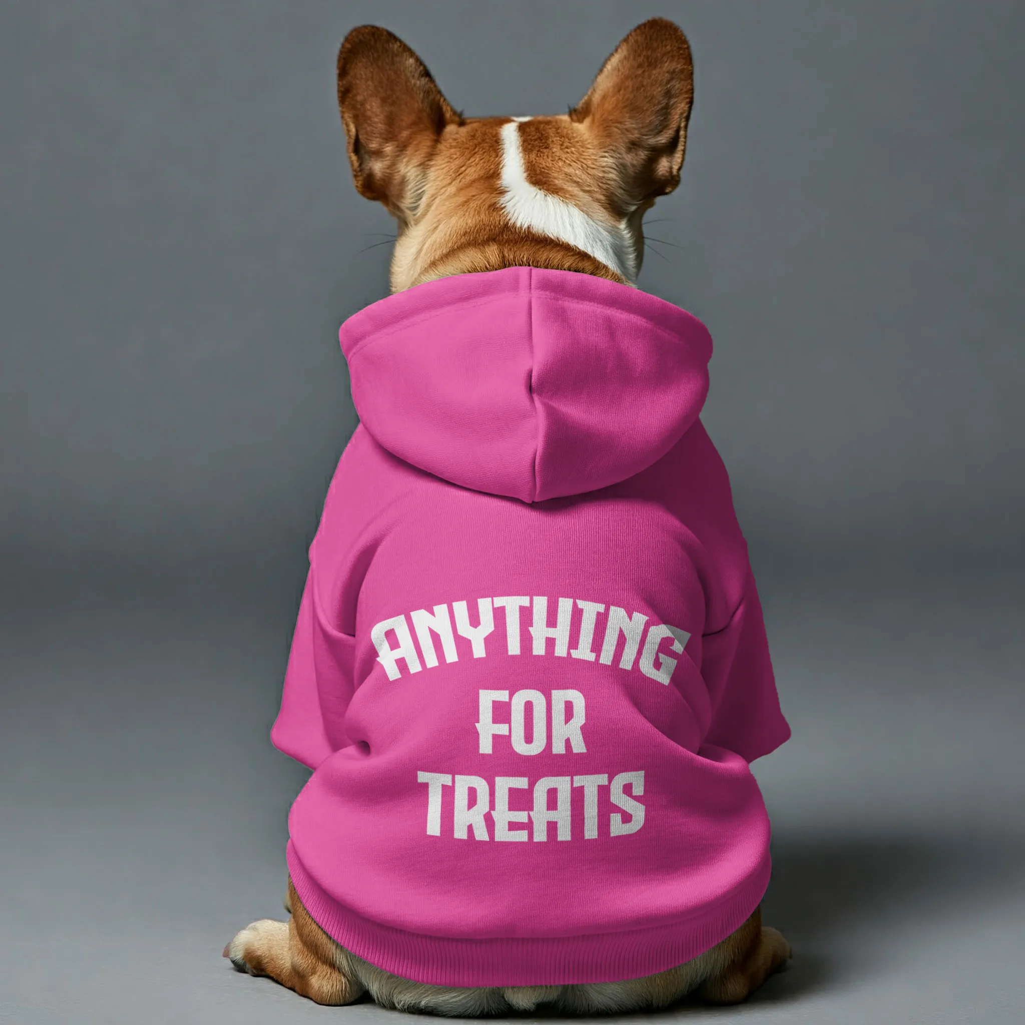 ANYTHING FOR TREATS -  Personalized French Bulldog Hoodies with Funny Quotes – Stylish, Cozy, and Premium 100% Cotton