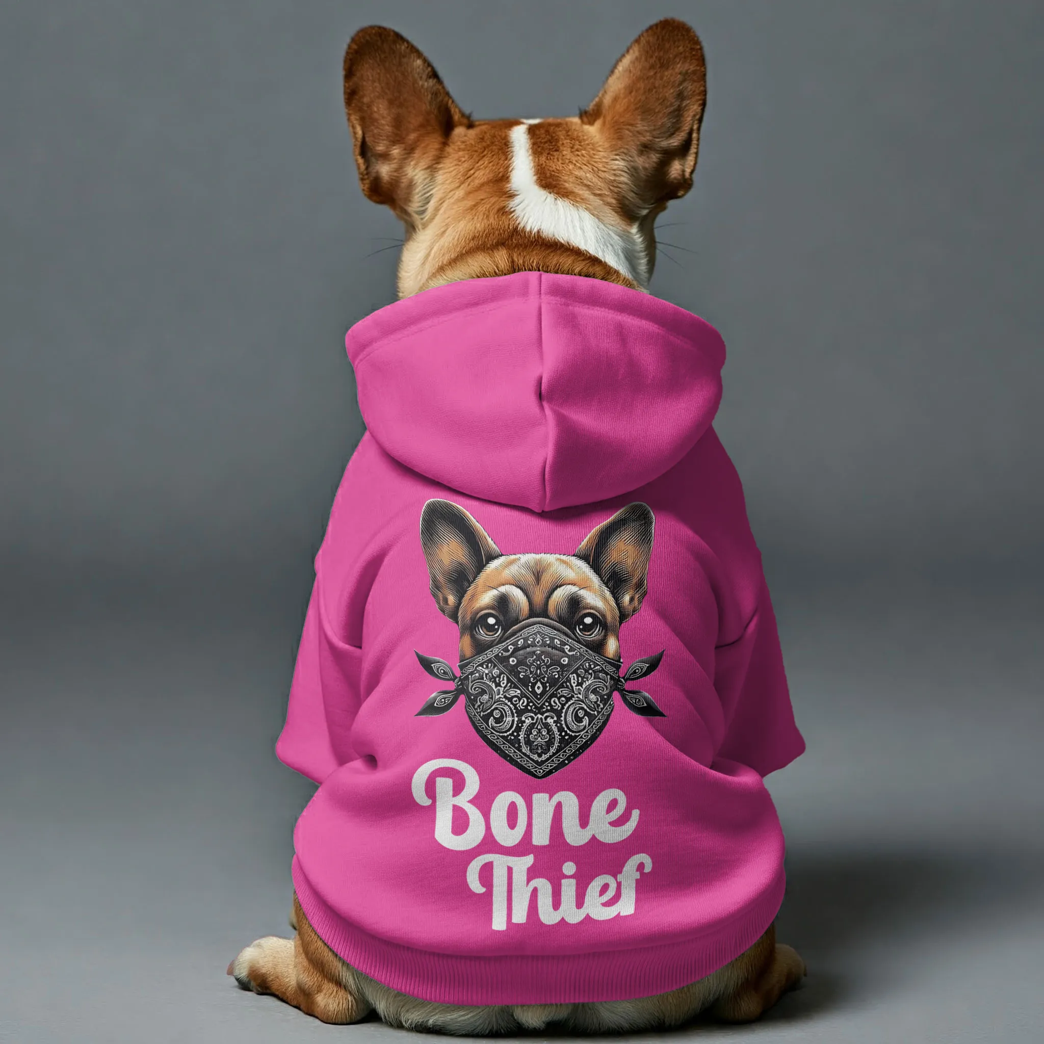 Bone thief - Personalized French Bulldog Hoodies with Funny Quotes – Stylish, Cozy, and Premium 100% Cotton