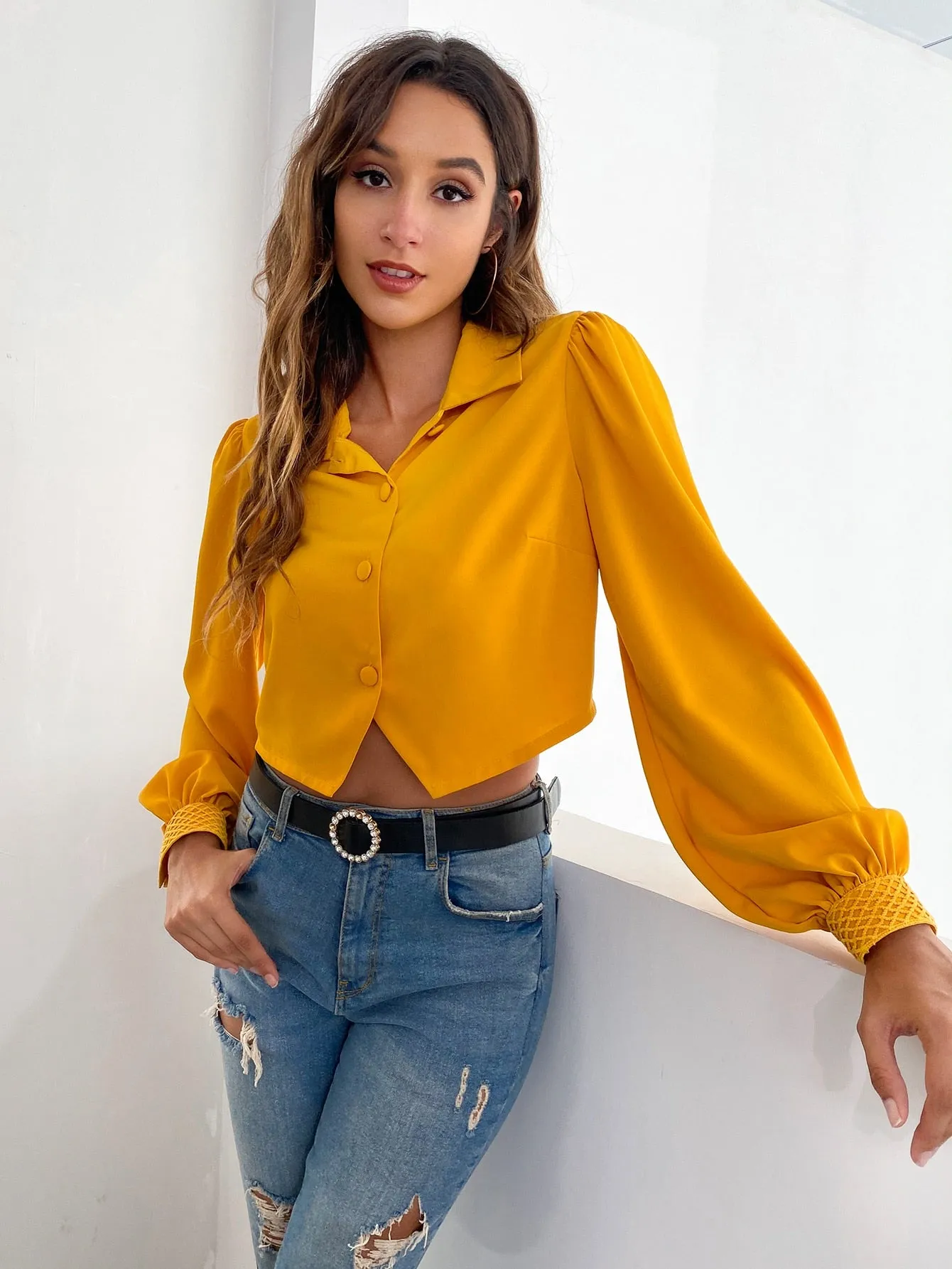 Casual Plain Button Front Long Sleeve Collar Asymmetrical Crop Blouse