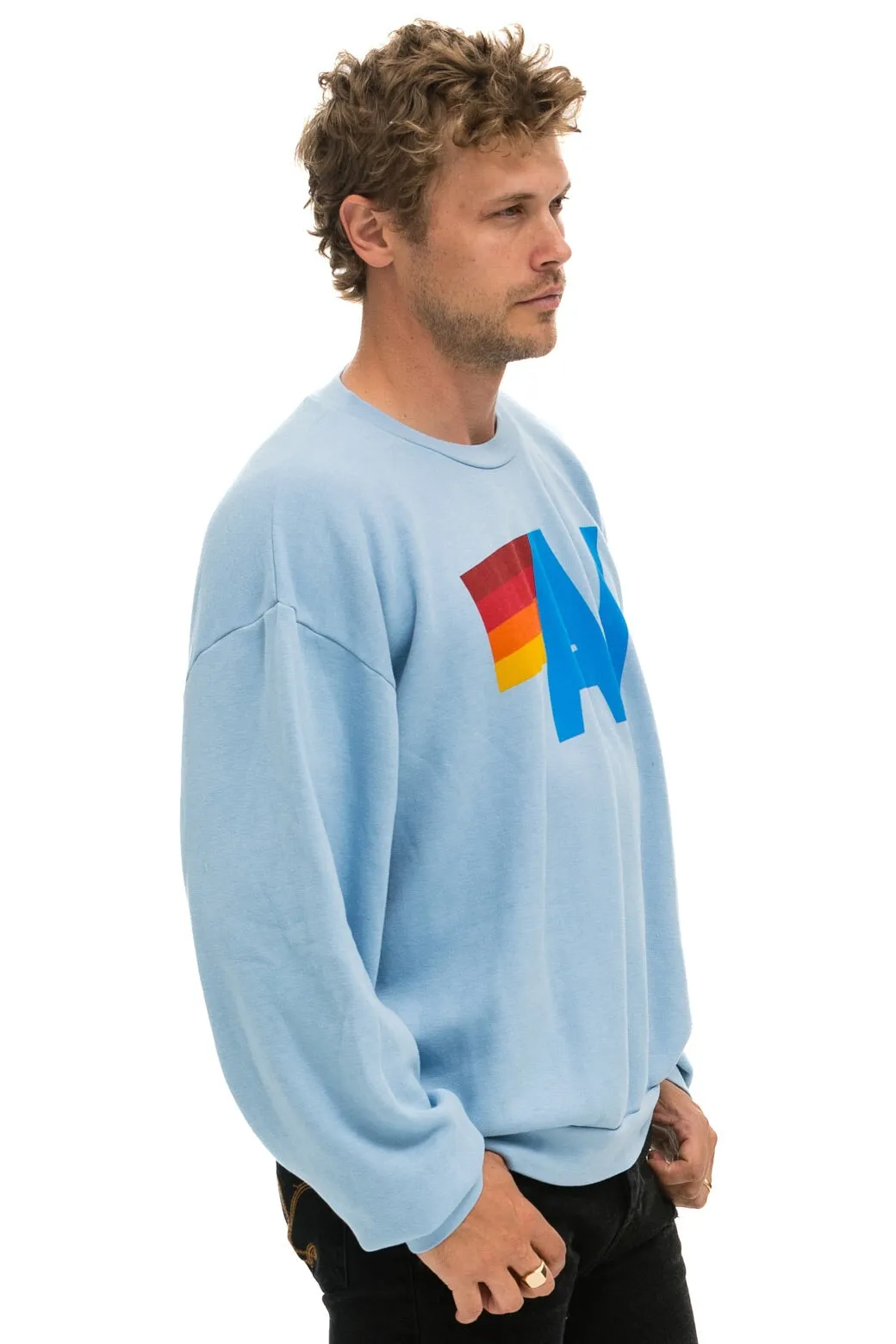 LOGO RELAXED CREW SWEATSHIRT - ICE