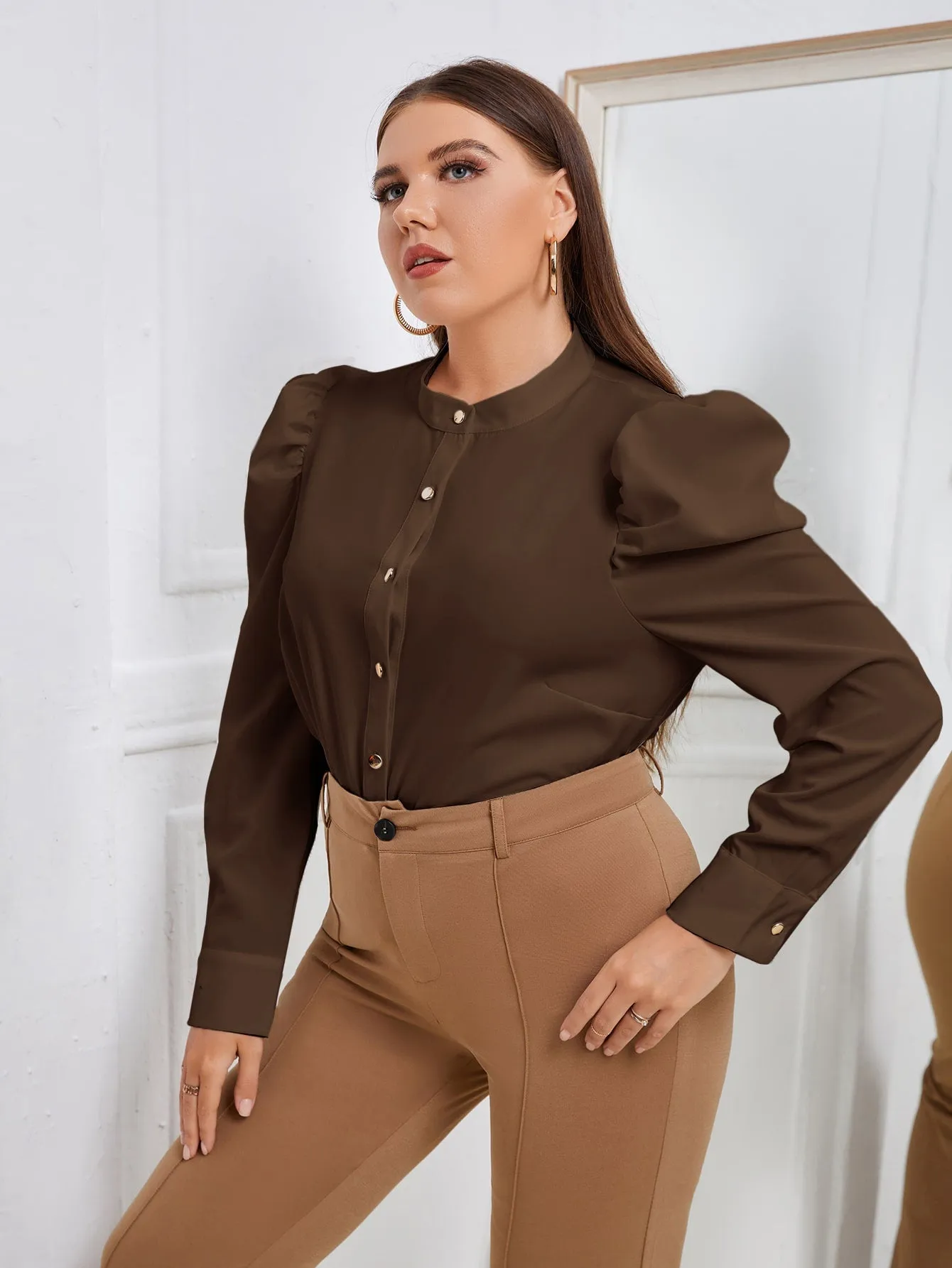 Plain Button Front Long Sleeve Stand Collar Regular Plus Size Blouse